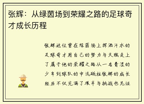 张辉：从绿茵场到荣耀之路的足球奇才成长历程